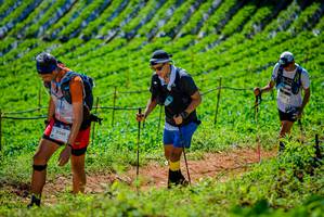 BIB: 
                            <button type="button" onclick="openModal(19163653)" class="btn btn-primary btn-sm float-right btn-popup" data-toggle="modal" data-target=".modal-high-quality">
                        <i class="fas fa-shopping-cart"></i> Add to Cart
                    </button>
                                            <button type="button" onclick="isThisMe(19163653, true)" class="btn btn-success btn-sm float-right btn-popup btn-isme hidden" data-toggle="tooltip" data-placement="bottom" title="นี่คือรูปของคุณใช่ไหม คลิกที่นี่เพื่อเอาเข้าอัลบั้ม">
                        <i class="fas fa-plus"></i> Add to album
                    </button>
                    <button type="button" onclick="isThisMe(19163653, false)" class="btn btn-warning btn-sm float-right btn-popup btn-isnotme hidden">
                        <i class="fas fa-ban"></i> Remove from album
                    </button>